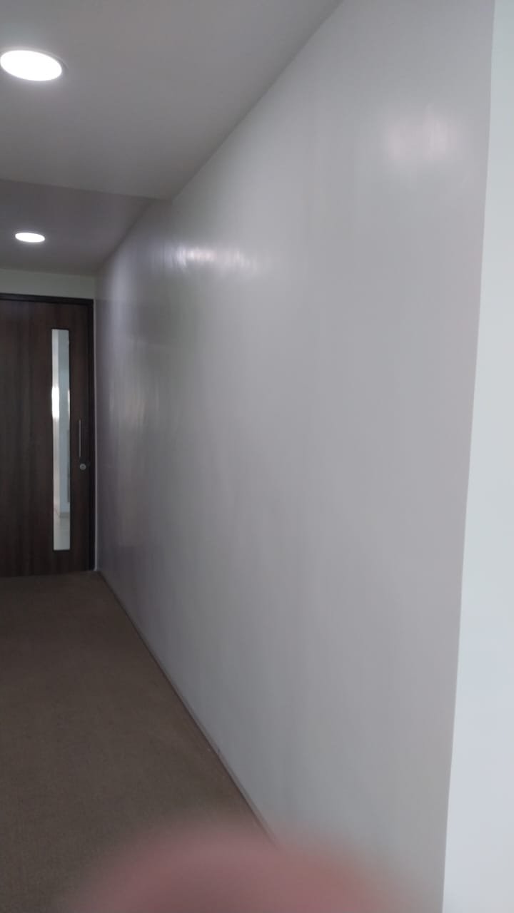 Interior Painting Work